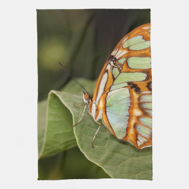 Malachite Butterfly auf einem Blatt Geschirrtuch (Vertikal)