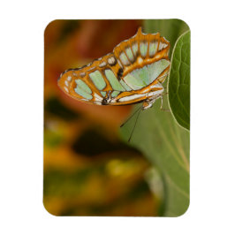 Malachite Butterfly Magnet