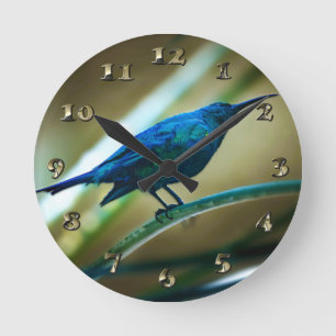 Malachite Sunbird Perched Closeup Runde Wanduhr