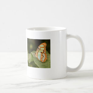 Malachitschmetterling auf einem Blatt Kaffeetasse