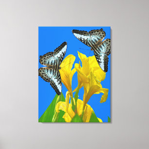 Malaiisch-blauer Clipper Stretched Canvas Print Leinwanddruck