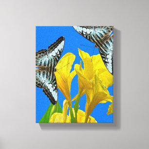 Malaiisch-blauer Clipper Stretched Canvas Print Leinwanddruck