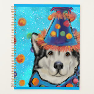 Malamute d'Alaska