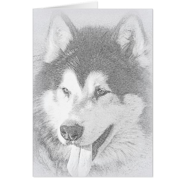 Malamute d'Alaska (Devant)