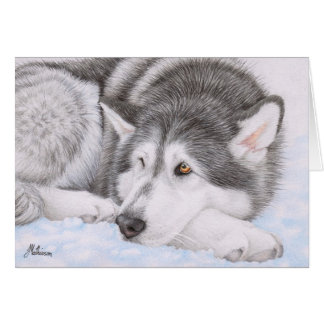 Malamute d'Alaska dans la neige