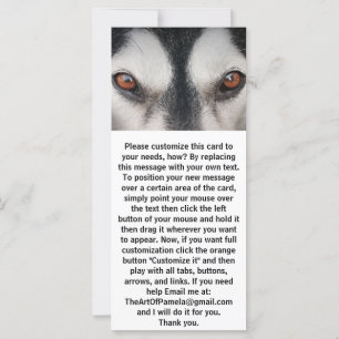 Malamute Dog Brown Eyes