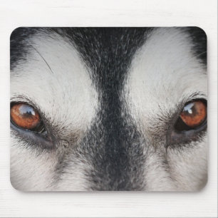 Malamute-Hundebrown-Augen Mousepad