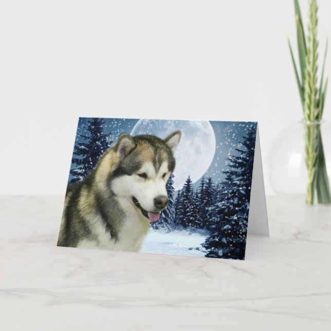 Malamute-Weihnachtskarte Feiertagskarte (Vorderseite)