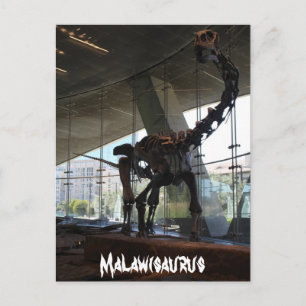 Malawisaurus Postkarte