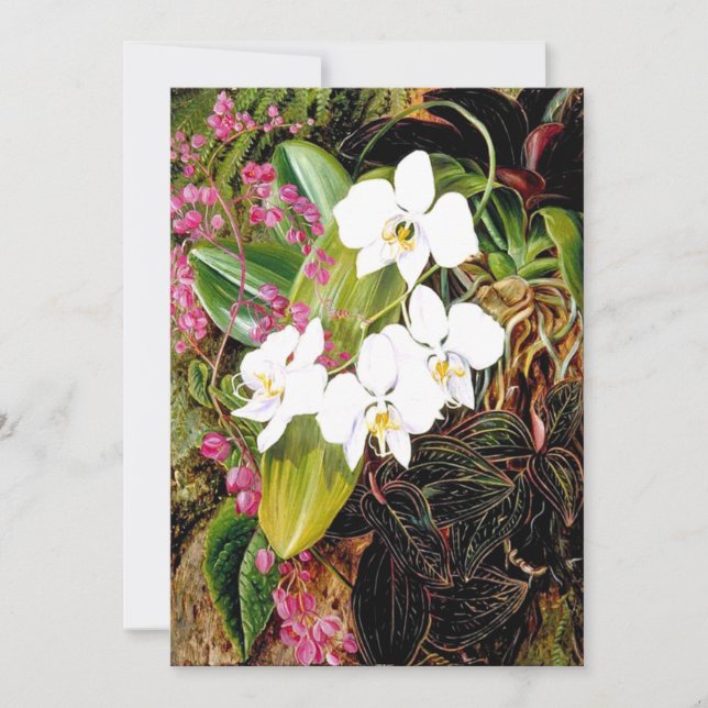 Malayan Moth Orchid und ein amerikanischer Climber Karte (Vorderseite)