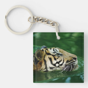 Malayan Tiger Swimming Headshot Schlüsselanhänger