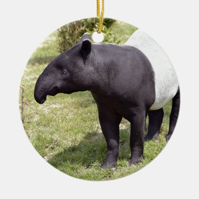 Malayischer Tapir auf Gras Keramikornament (Vorne)
