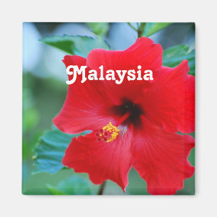 Malaysia Magnet