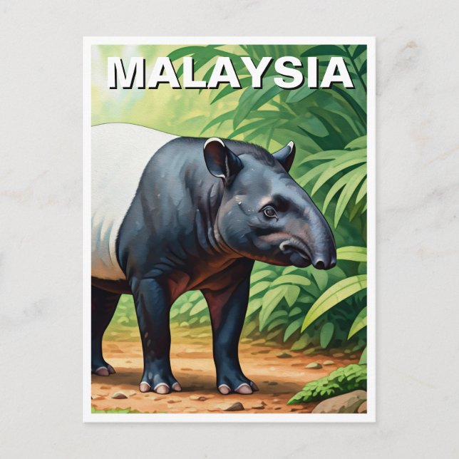 Malaysia Malayan Tapir Postkarte (Vorderseite)