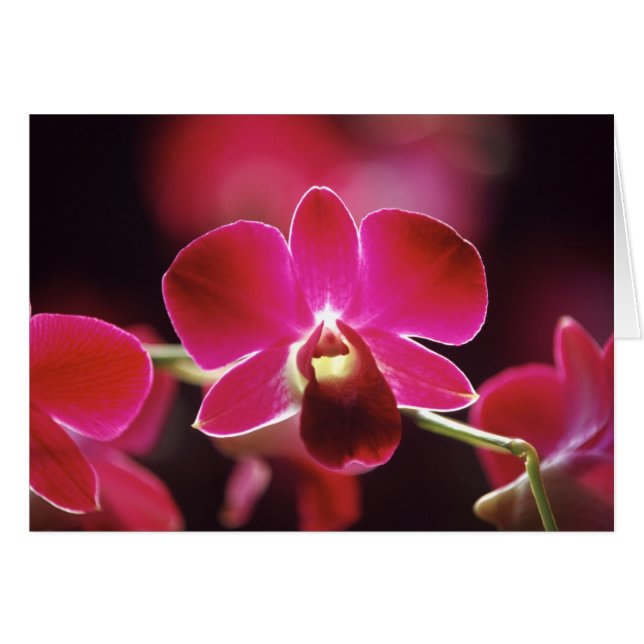 Malaysia, Orchid (Vorderseite (Horizontal))
