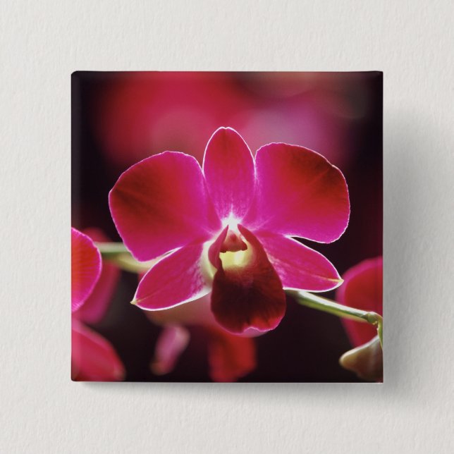 Malaysia, Orchid Button (Vorderseite)