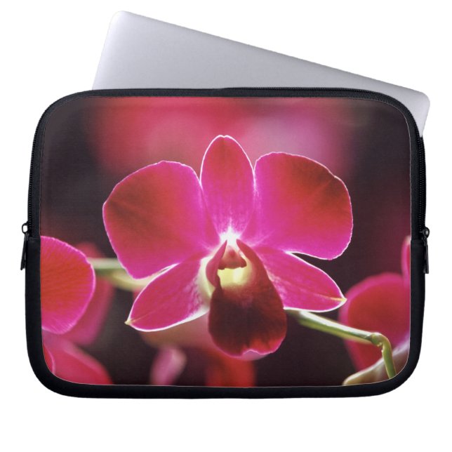 Malaysia, Orchid Laptopschutzhülle (Vorderseite)