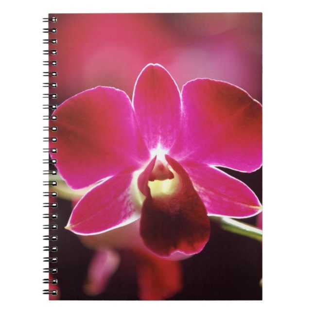 Malaysia, Orchid Notizblock (Vorderseite)