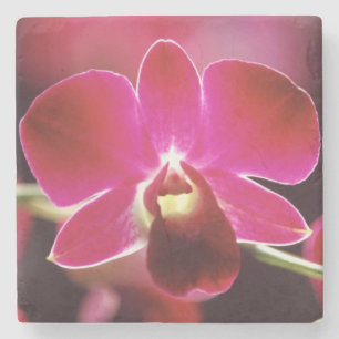 Malaysia, Orchid Steinuntersetzer