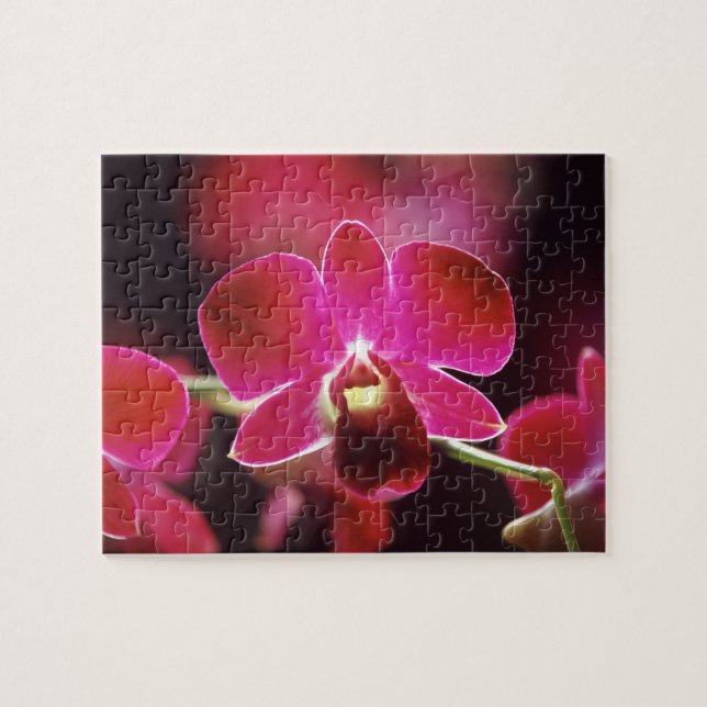 Malaysia, Orchidee (Horizontal)
