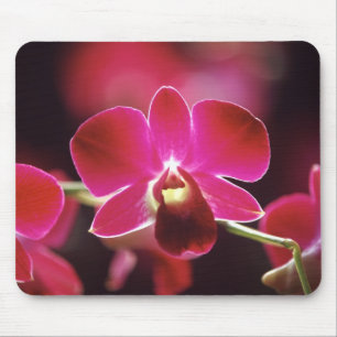 Malaysia, Orchidee Mousepad
