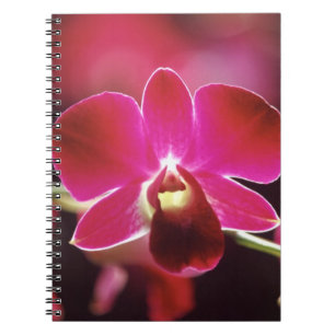 Malaysia, Orchidee Notizblock