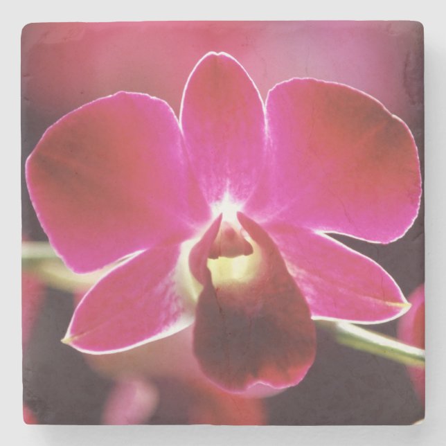 Malaysia, Orchidee Steinuntersetzer (Vorderseite)