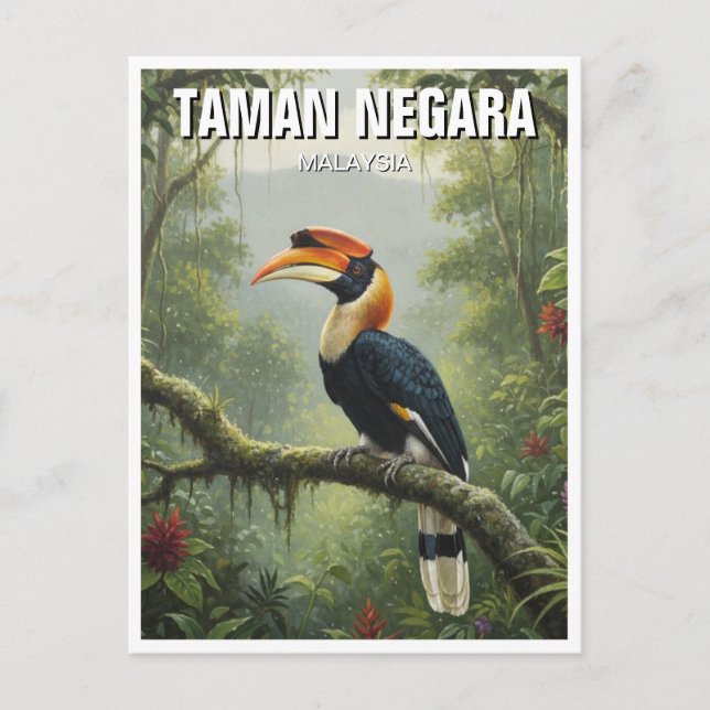 Malaysia Taman Negara Hornbill Postkarte (Vorderseite)