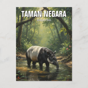 Malaysia Taman Negara Malayan Tapir Postkarte