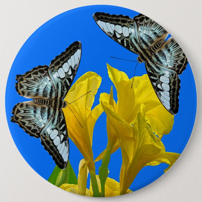 Malaysischer Kappenschmetterling auf Canna King Button (Vorderseite)