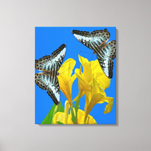 Malaysischer Kappenschmetterling Canvas Print Leinwanddruck