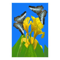 Malaysischer Schmetterling-Foto Erweiterung