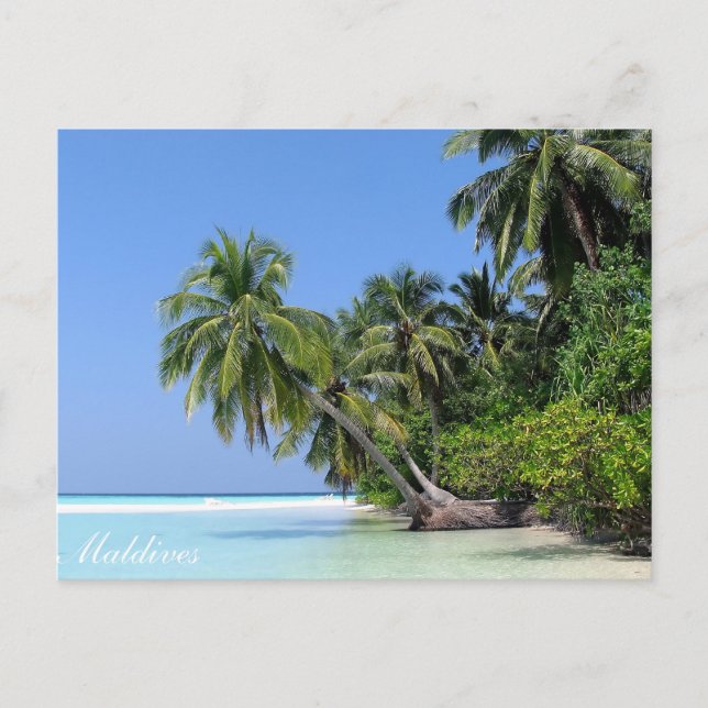 Maldives - Athuruga île carte postale (Devant)