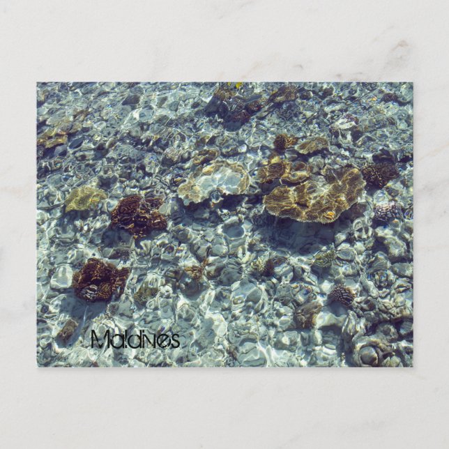 Maldives beach postcard postkarte (Vorderseite)