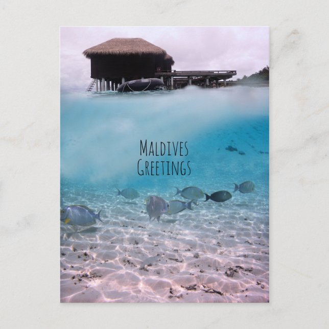 Maldives Gruß Schnorcheln Spaß Souvenir Postkarte (Vorderseite)