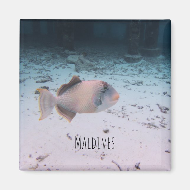 Maldives Underwater Coral Fish Souvenir Magnet (Vorne)