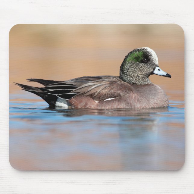 Male American Wigeon Mousepad (Vorne)