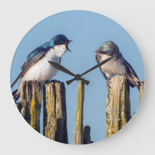 Male and female Tree Swallow Große Wanduhr