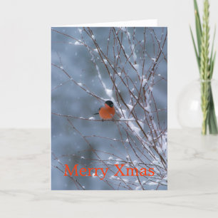 Male Bullfinch dans la carte Joyeux Noël Neige