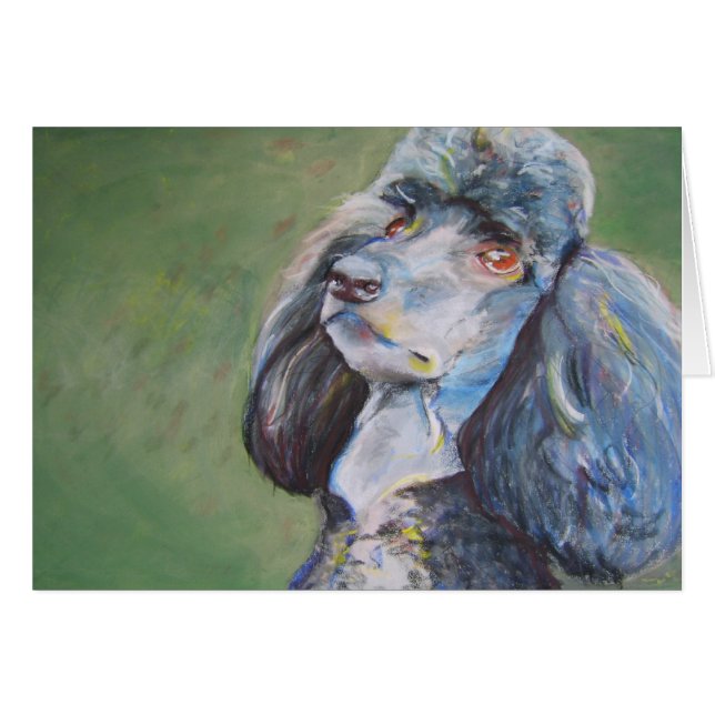 Mâle, caniche standard (Devant Horizontal)