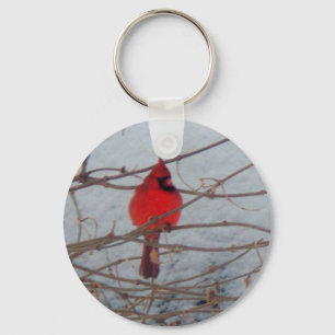 Male Cardinal Schlüsselanhänger