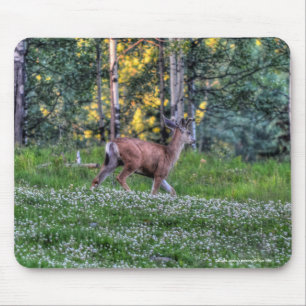 Male Deer Buck auf Ranch Wildlife Foto Mousepad