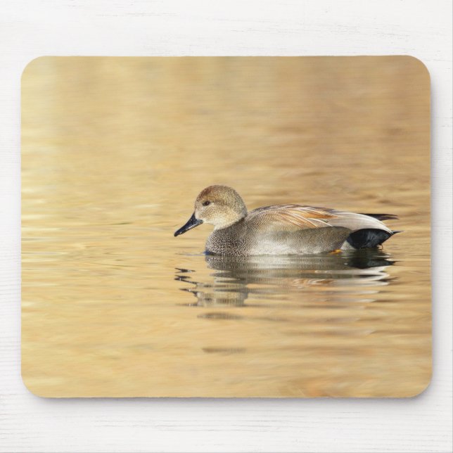 Male Gadwall Mousepad (Vorne)