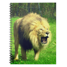 Male Lion Notizblock