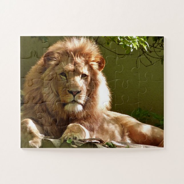 MALE LION PHOTOGRAPHIE PUZZLES (Horizontal)