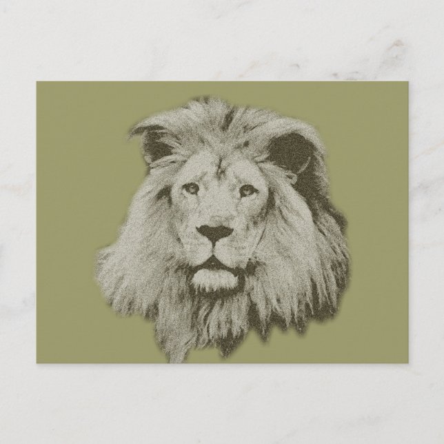 Male Lion Postkarte (Vorderseite)