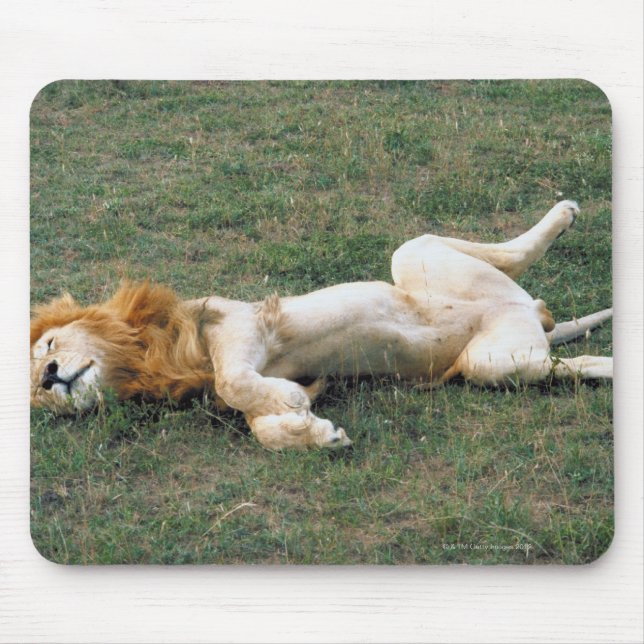 Male Lion Stretching Mousepad (Vorne)