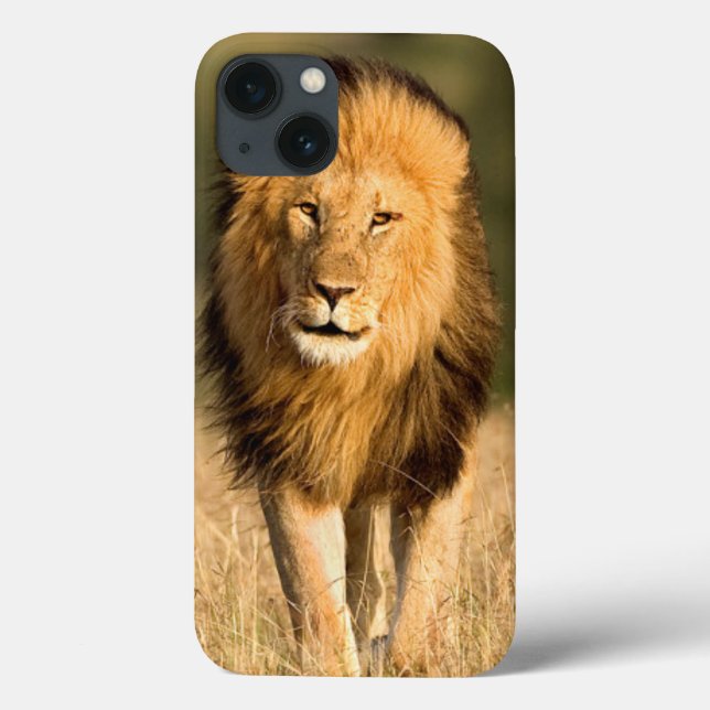 Male Lion Walking Case-Mate iPhone Hülle (Rückseite)