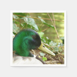 Male Mallard Duck Napkin Serviette