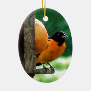 Male Oriole Keramik Ornament
